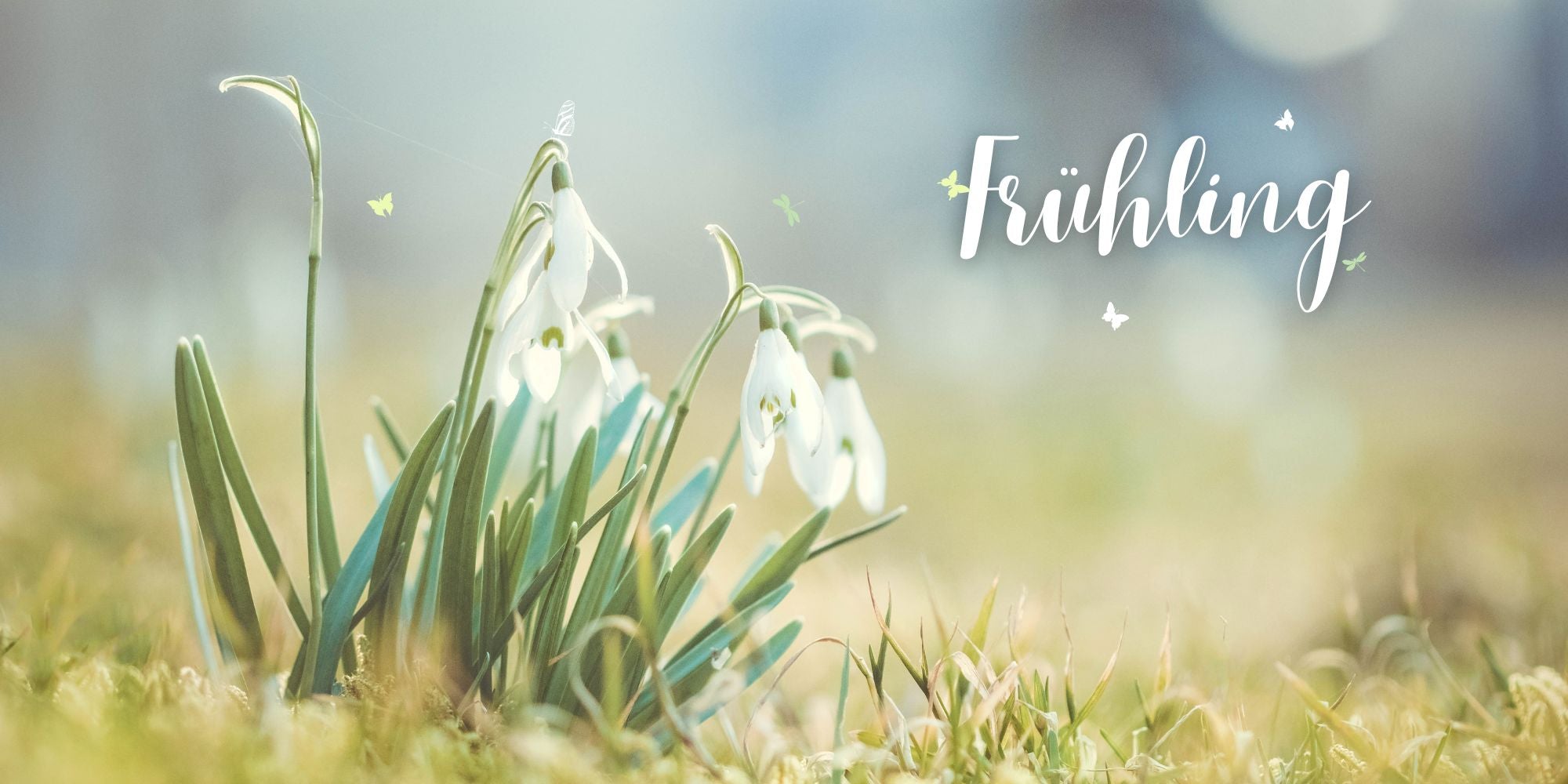 Wir starten in den Frühling - sei dabei Frühlingsfrische...