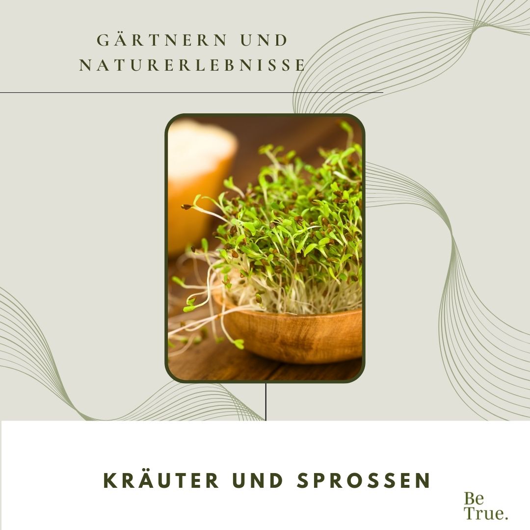 Selbst angebaute Kräuter und Sprossen