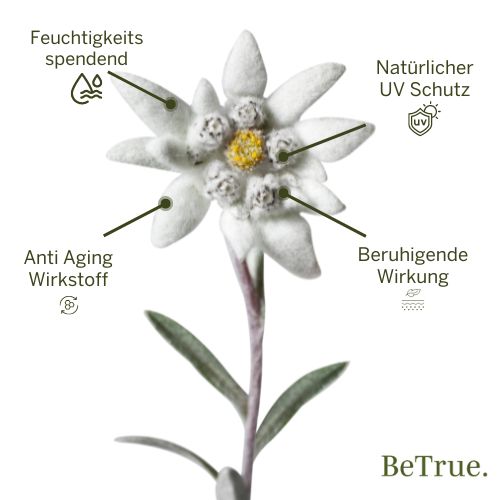 Das Geheimnis der Alpen: Warum Edelweiß die Haut liebt