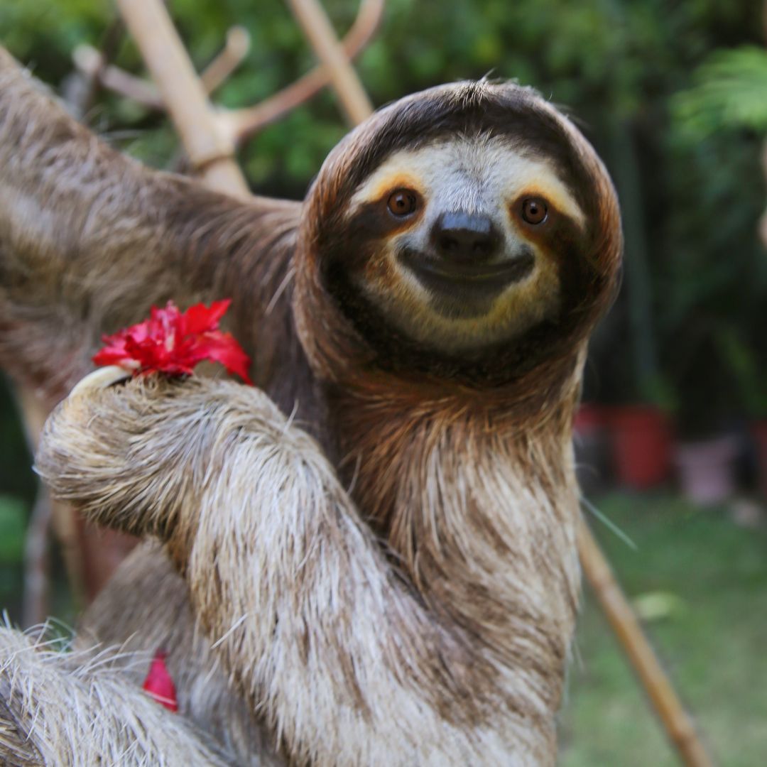 Fit und aktiv ins Frühjahr: Besiege deinen inneren Schweinehund!