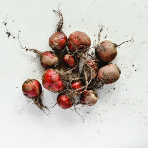 7 Möglichkeiten um Rote Beete in deinen täglichen Speiseplan zu integrieren
