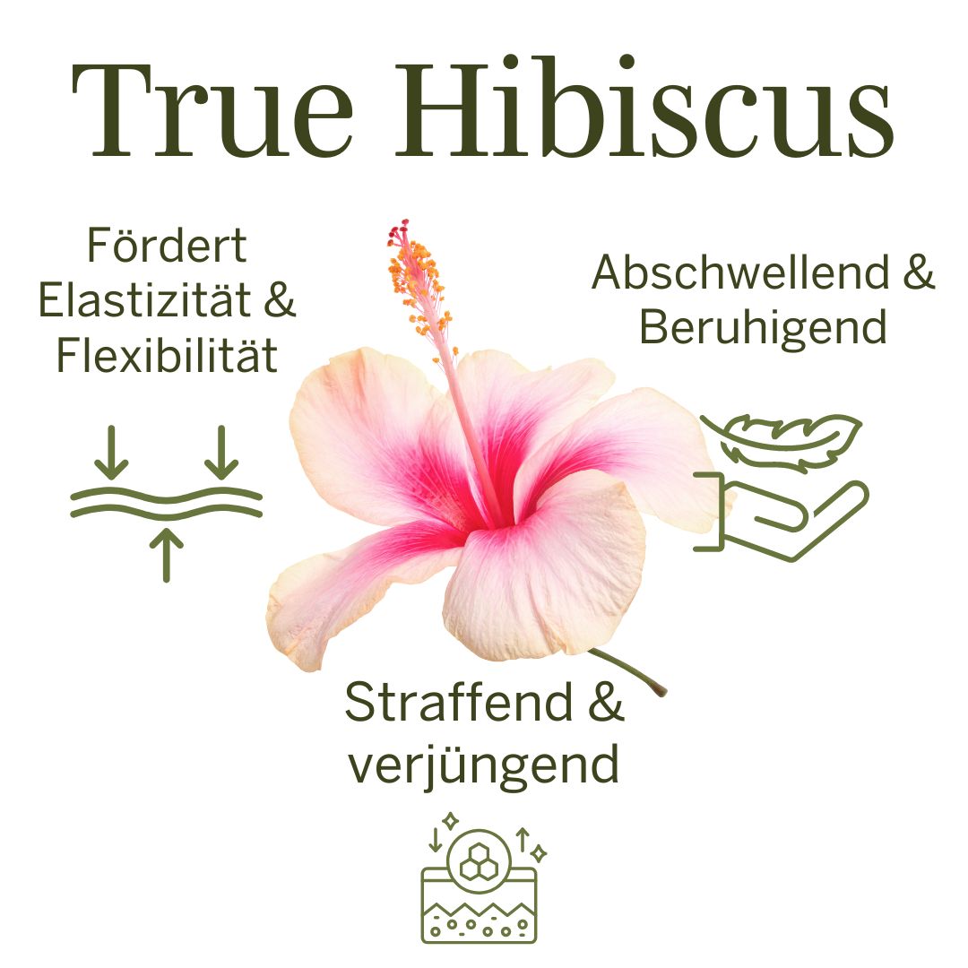 True Hibiscus