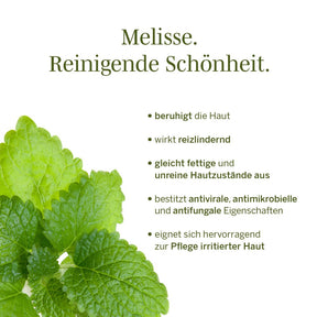True Melissa Reinigungsschaum